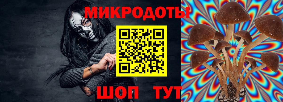 Псилоцибиновые грибы ЛСД Шали